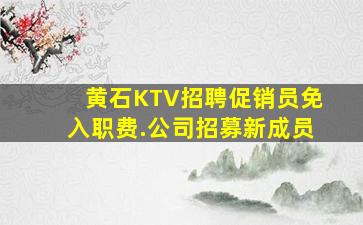 黄石KTV招聘促销员免入职费.公司招募新成员